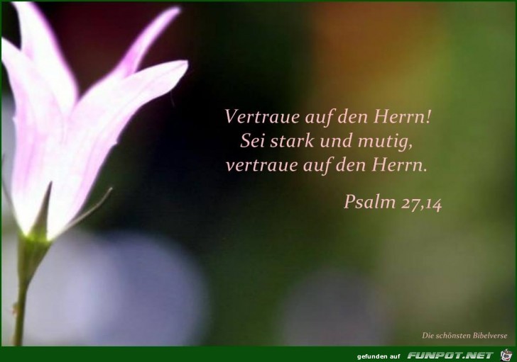 Psalm 27 14 Psalm 27 14