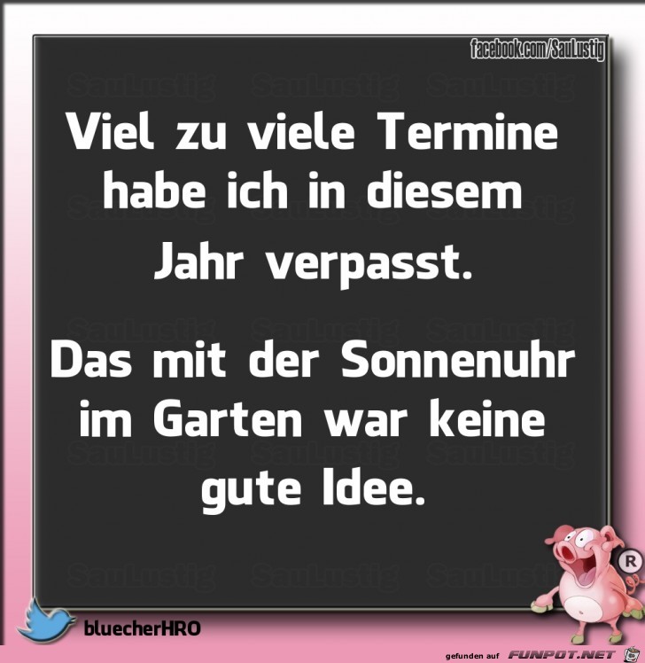 Viel zu viele Termine habe ich verpasst Viel zu viele Termine habe ich verpasst