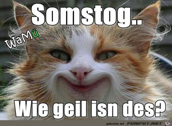 somstog