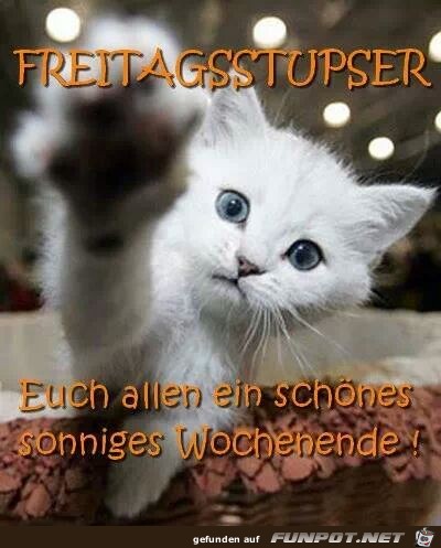 freitagstupser freitagstupser