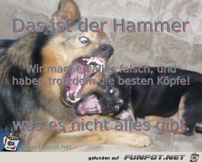 da singen die Maeuse da singen die Maeuse
