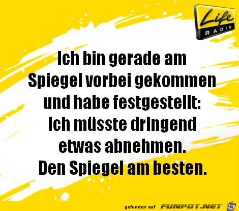 spiegel spiegel