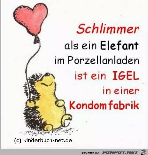 Igel Igel