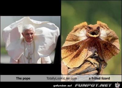 Der Papst von seiner besten Seite :-)