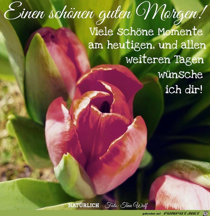 einen schoenen guten morgen einen schoenen guten morgen