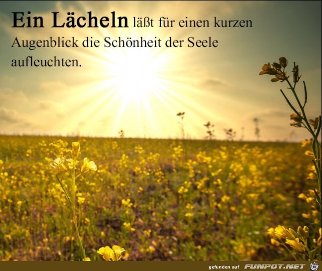 laecheln-seele