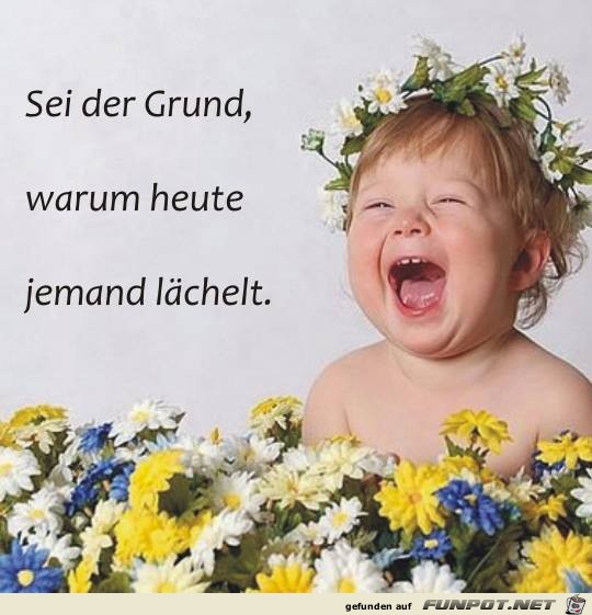 Sei der Grund Sei der Grund