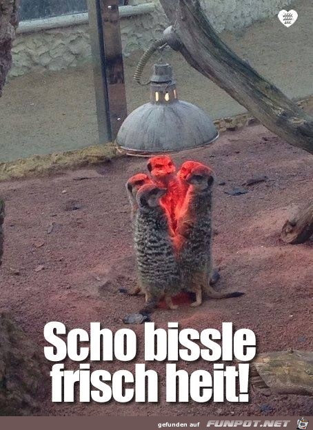 Bissle frisch