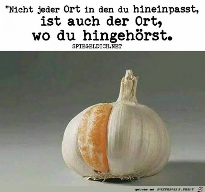 hingehoeren