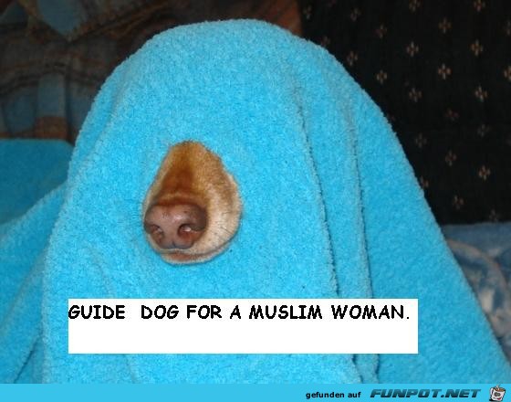 Leithund fr eine Muslimin