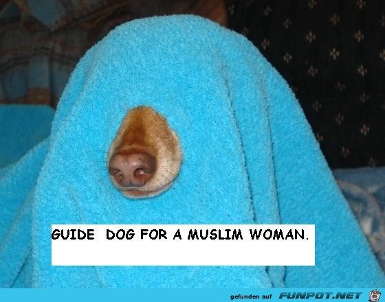 Leithund für eine Muslimin Leithund für eine Muslimin
