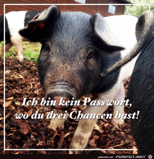 Ich bin kein Passwort