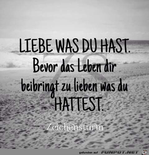 liebe was du hast