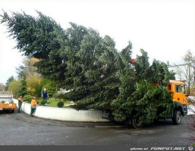 weihnachtsbaum faellt um