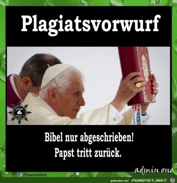 Plagiatsvorwurf Plagiatsvorwurf