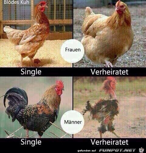 Single oder verheiratet