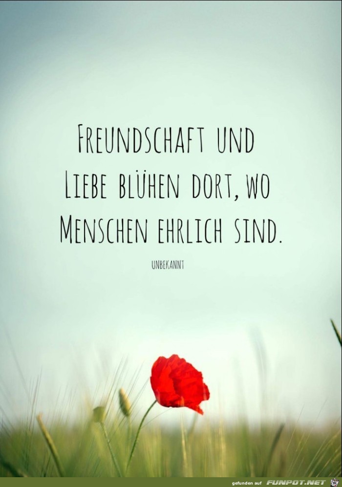 Freundschaft und Liebe