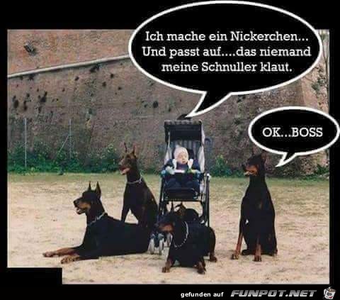 nickerchen nickerchen