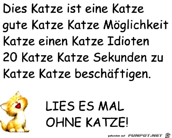 was zum lesen was zum lesen