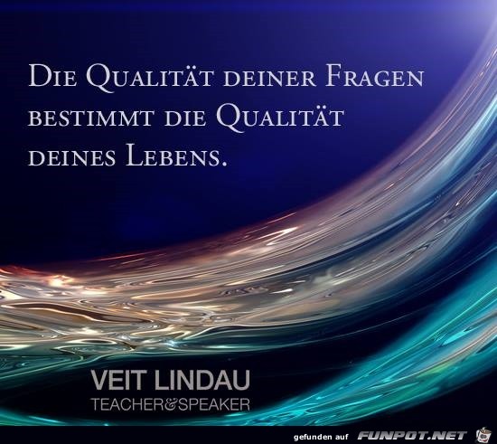 die Qualitaet