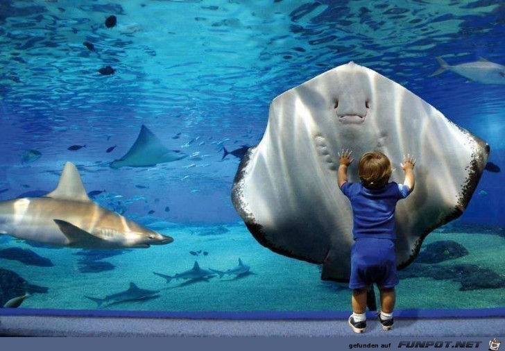 Awesome Pictures 3 Awesome Pictures 3