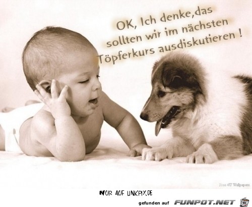 taeoepferkurs taeoepferkurs