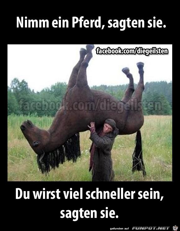 diegeilsten Pferd diegeilsten Pferd