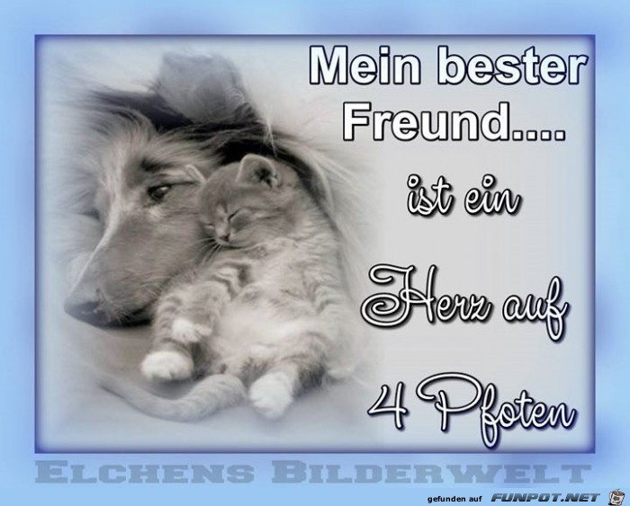 bester Freund