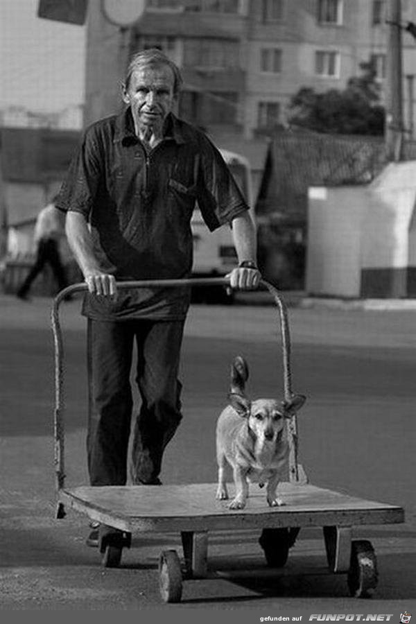 Wenn der Hund wirklich dein bester Freund ist