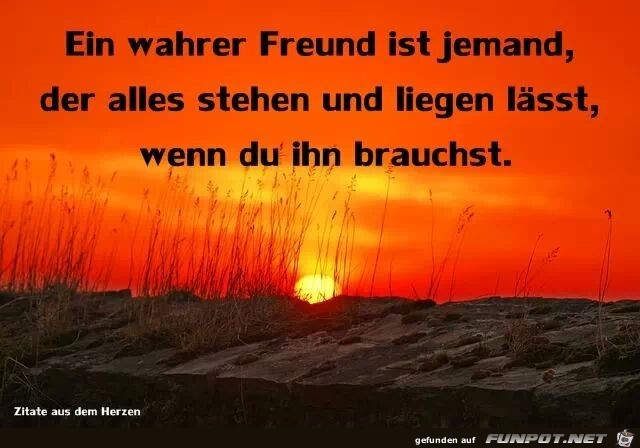 ein wahrer Freund ist... ein wahrer Freund ist...