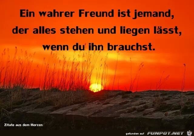 ein wahrer Freund ist...