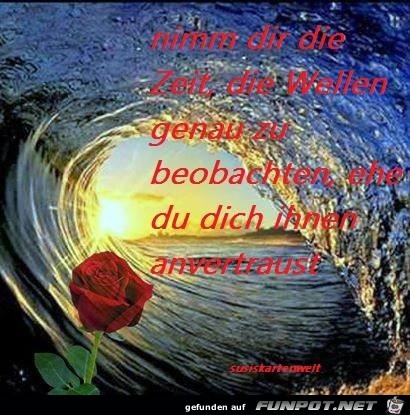 Wellen Wellen