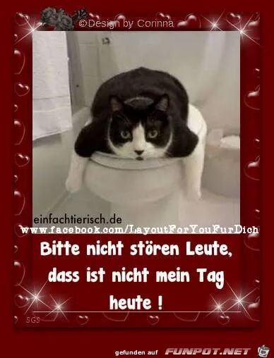 nicht stoeren nicht stoeren