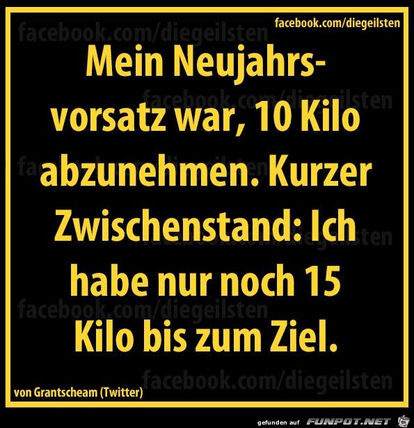 diegeilsten Neujahrsvorsatz diegeilsten Neujahrsvorsatz