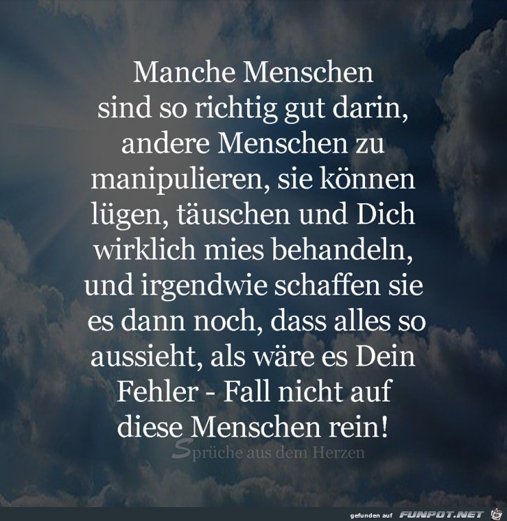 Manche Menschen 