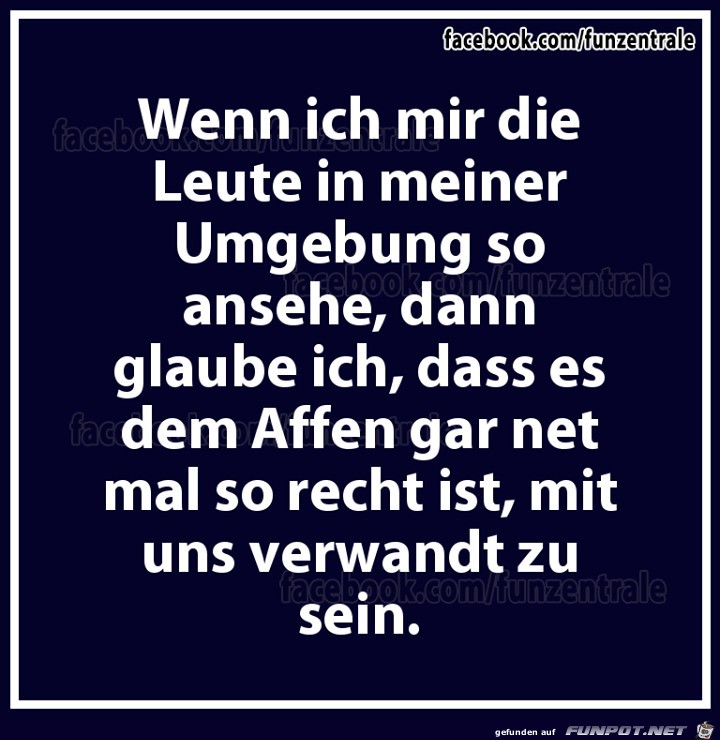 Affen Affen