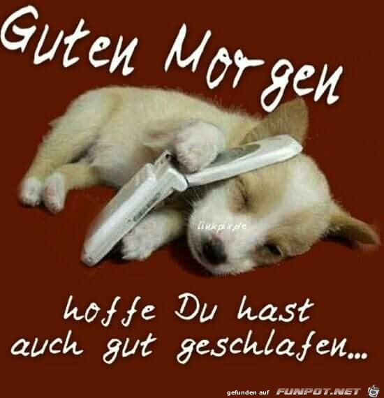 Guten morgen