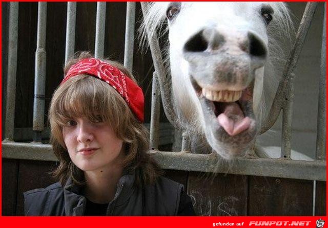 say cheese say cheese