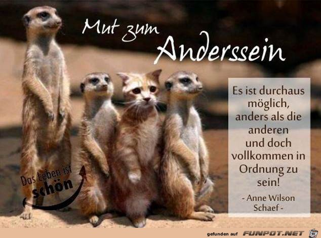 anders anders