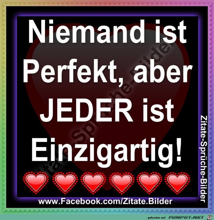 Niemand ist Perfekt