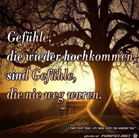 Gefuehle