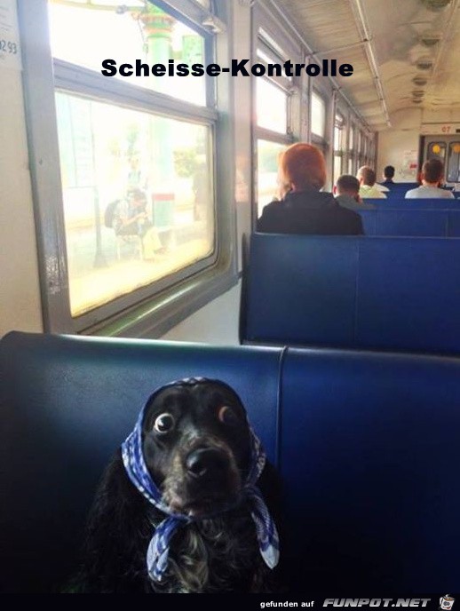 Bahn Bahn