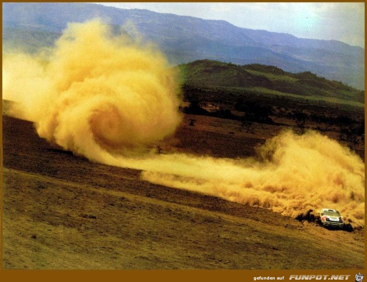 Rally Rally