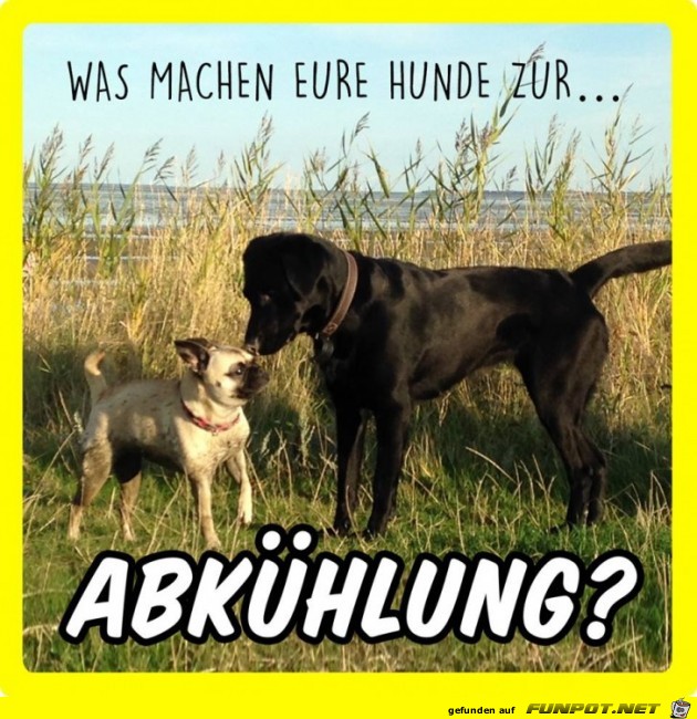 Abkuehlung Abkuehlung