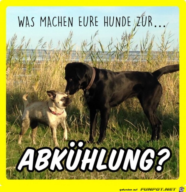 Abkuehlung