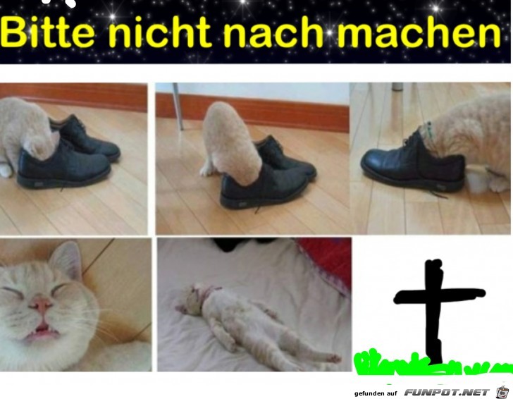 image 3 image 3