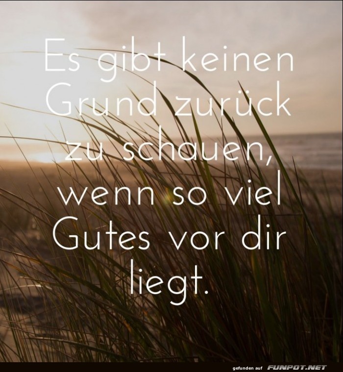 10 schne Sprche und Lebensweisheiten aus...