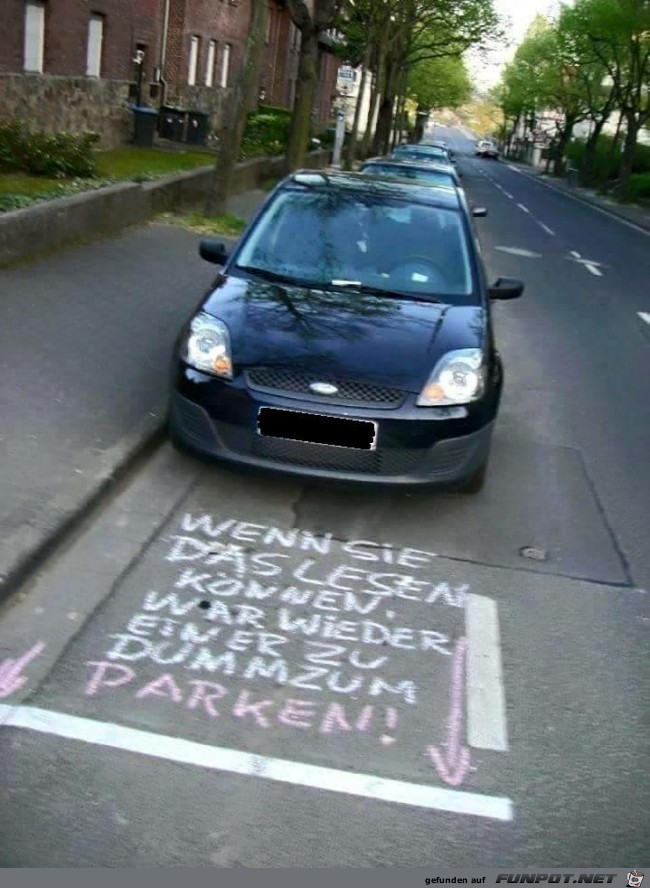 Zu dumm zum Parken