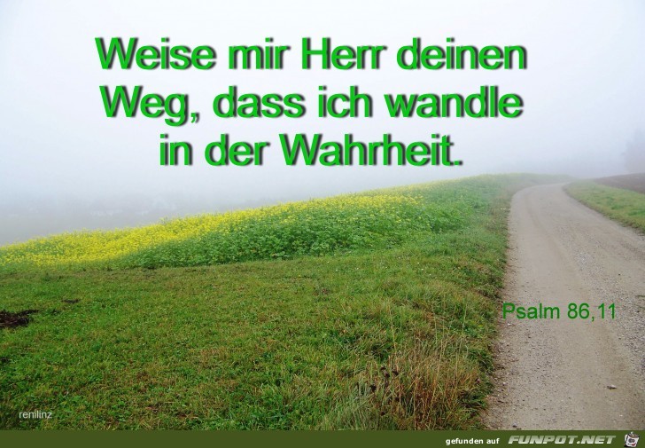 Psalm 86 11 Psalm 86 11