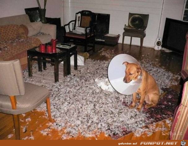 image00555555 image00555555